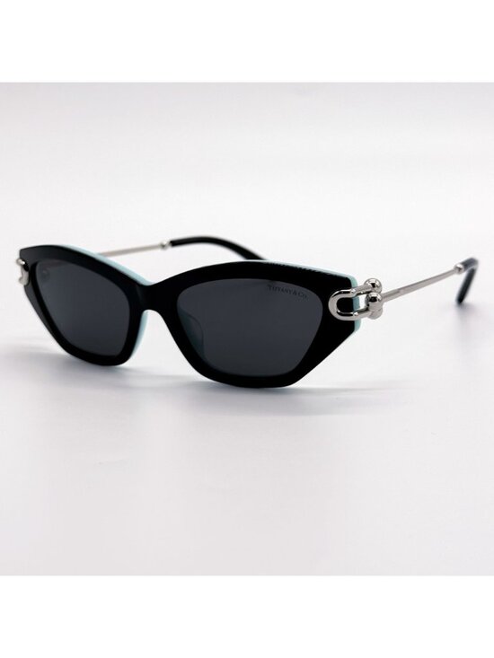 New Tiffany & Co TF4231U 8055/S4 Black Cat Eye Women Sunglasses main image 8